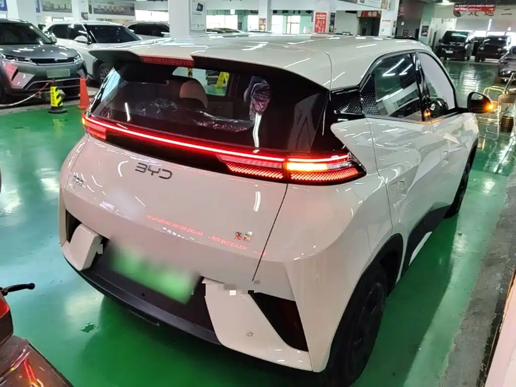 BYD Seagull 2026 2025 Smart Drive Edition 305km Vitality Version