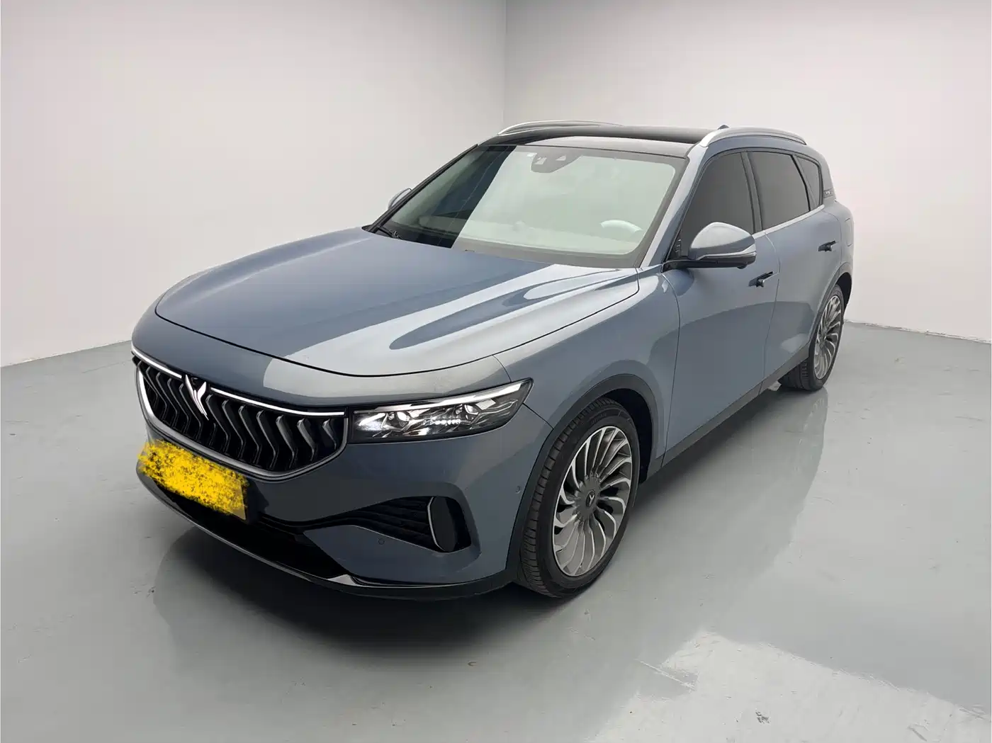Voyah Auto VOYAH FREE 2021 AWD Standard Range Extender Exclusive Luxury Package