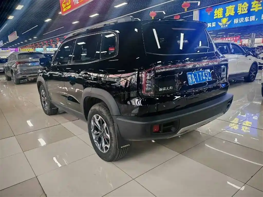 Haval Big Dog 2024 2.0T DCT Chinese Rural Dog Edition фото 5
