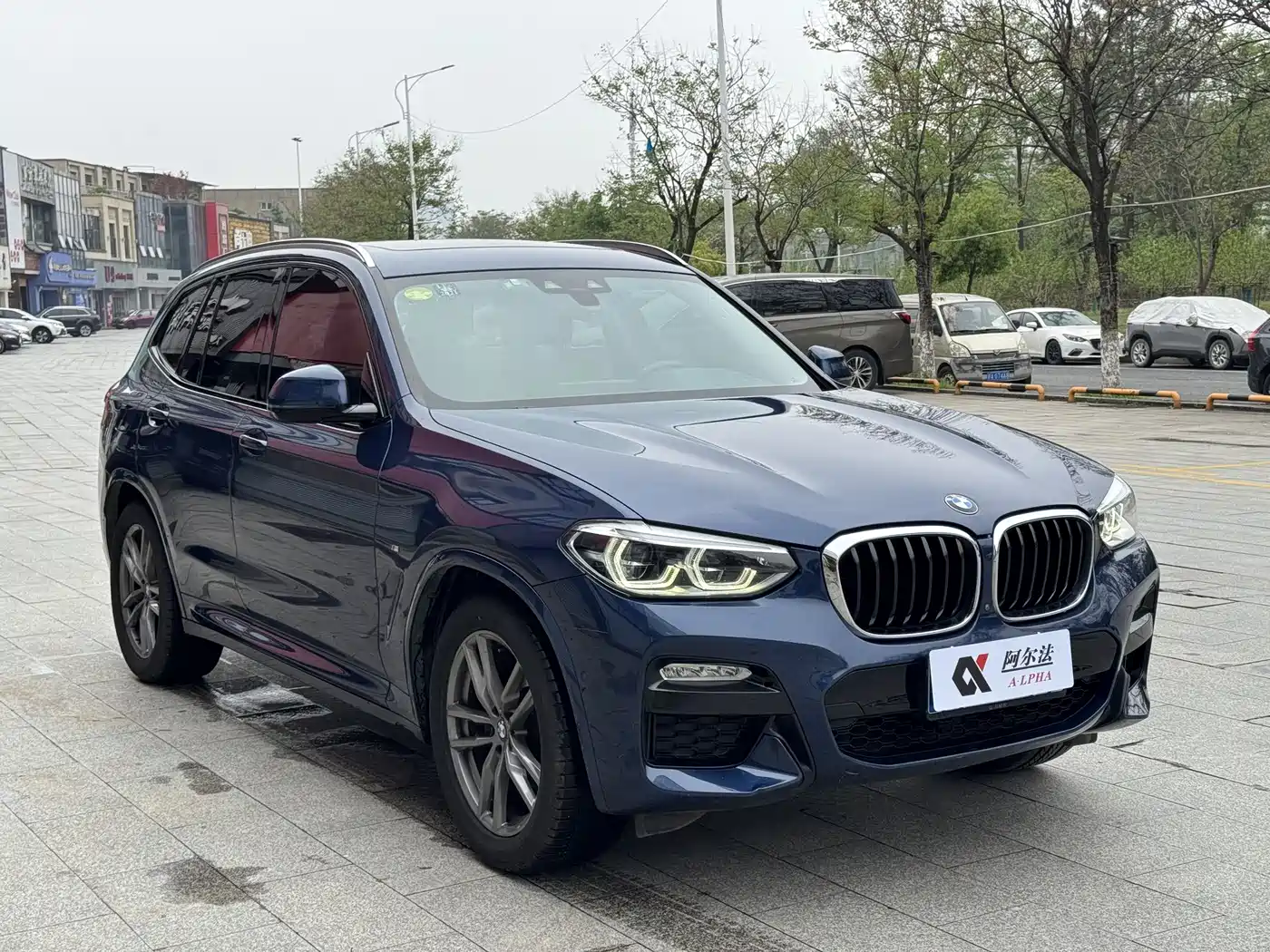 BMW X3 2018 xDrive30i Leading M Sport Package China V фото 3