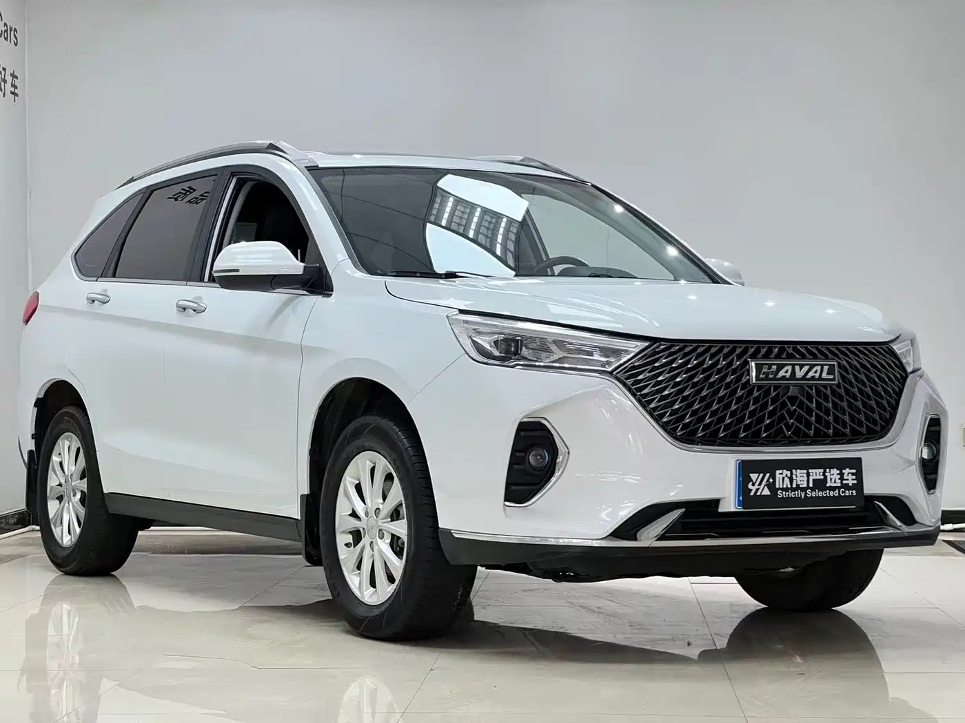 HAVAL M6