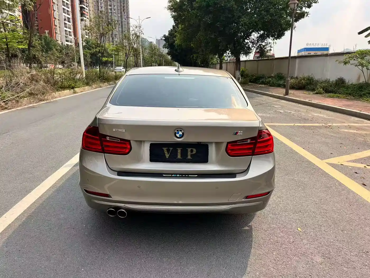 BMW 3 Series 2015 316i Progressive фото 5