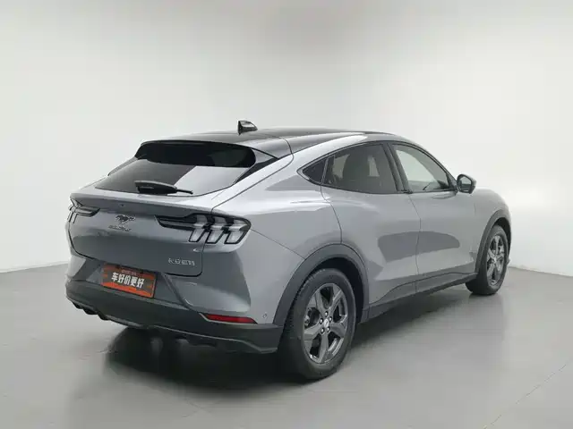 Ford Mustang Mach-E 2021 Leap World RWD (Standard Range) — фото 2