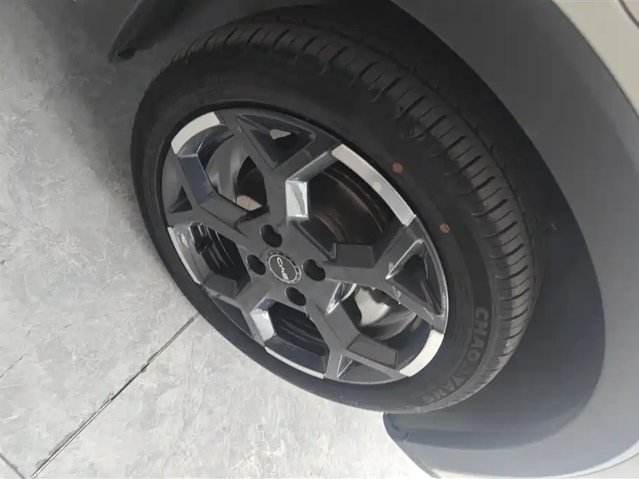 BYD Seagull 2024 Glory Edition 305km Freedom Edition фото 6