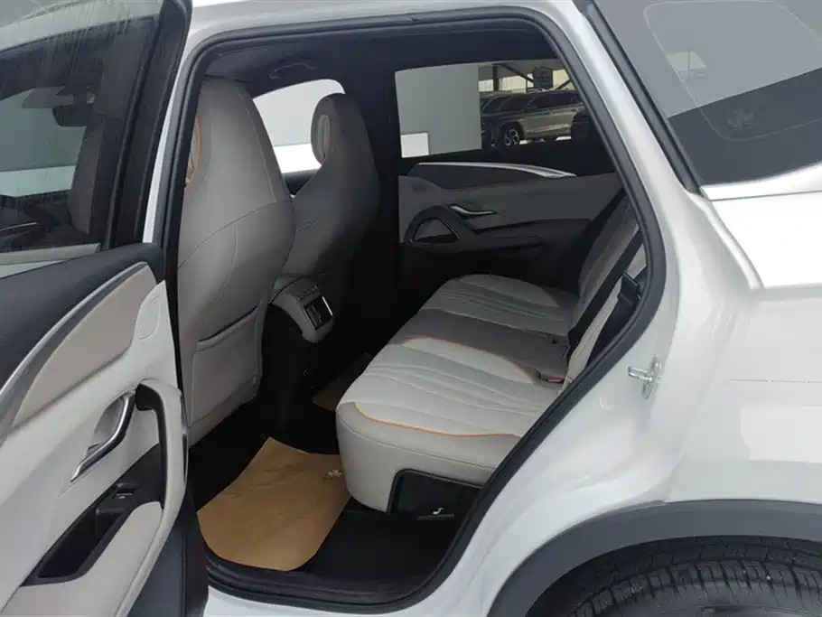BYD Song Pro New Energy 2024 Glory Edition DM-i 71KM Pilot фото 11