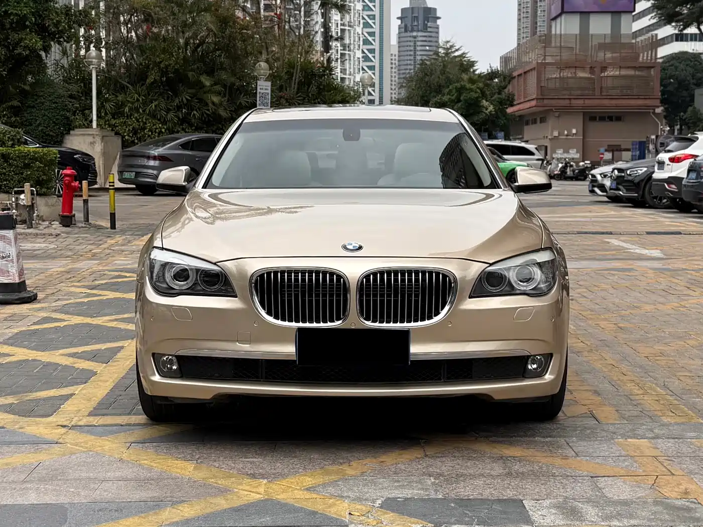 BMW 7 Series 2009 730Li Leading фото 2