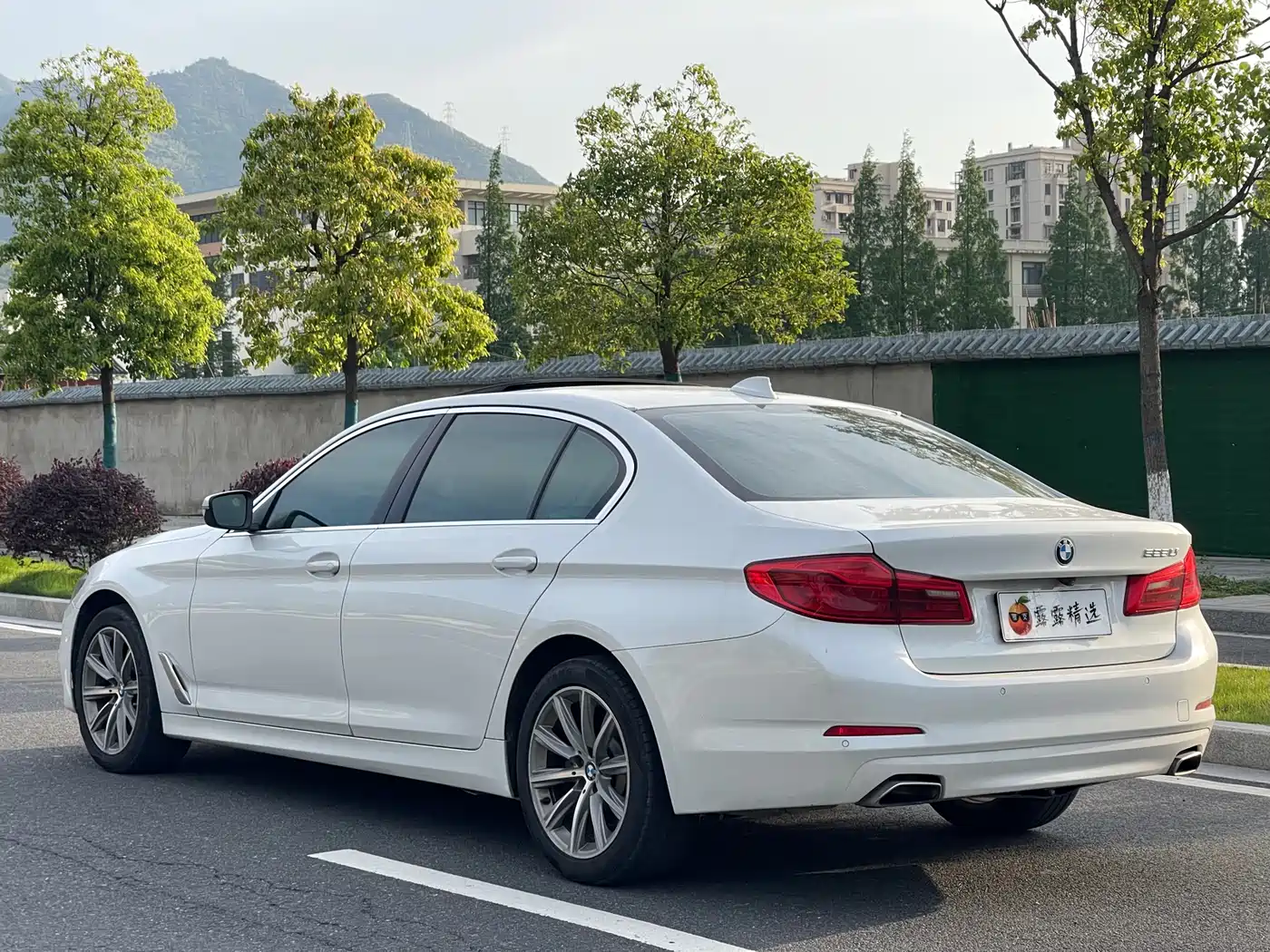 BMW 5 Series 2018 528Li Launch Special Edition фото 14