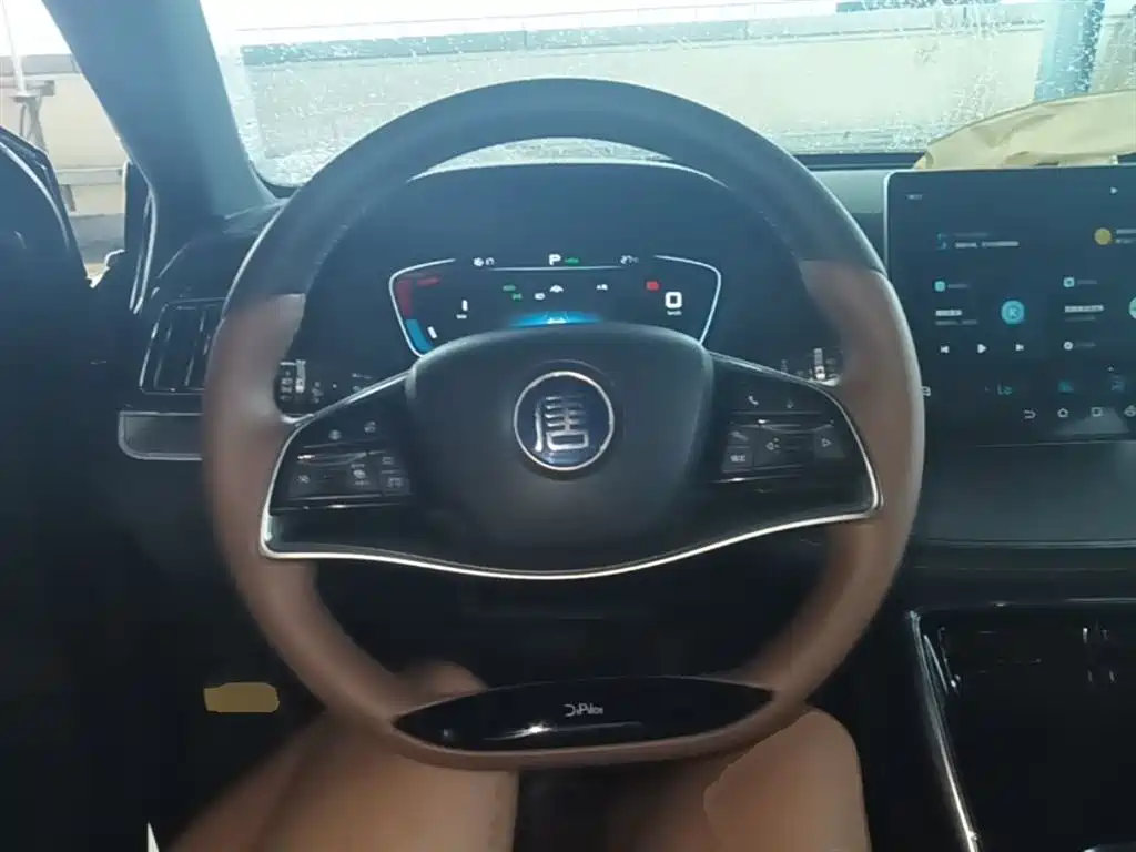 BYD Tang New Energy 2021 DM-i 112KM Premium фото 11