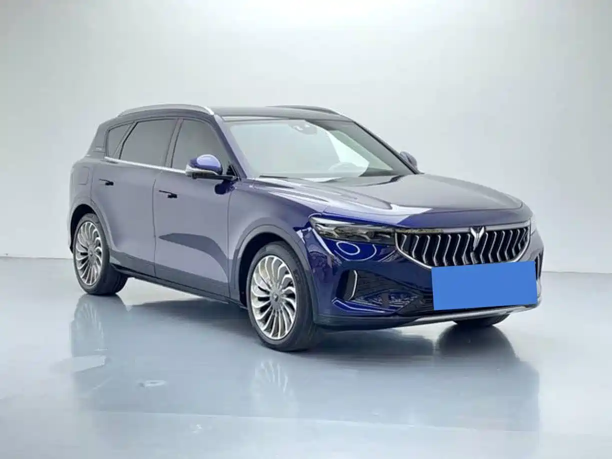 Voyah Auto VOYAH FREE 2021 AWD Standard Range Extender Exclusive Luxury Package фото 3