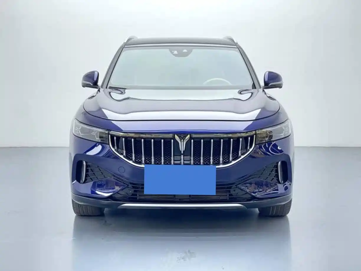 Voyah Auto VOYAH FREE 2021 AWD Standard Range Extender Exclusive Luxury Package фото 2