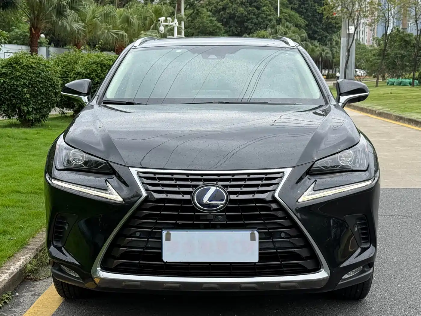 Lexus NX 2020 300h FWD F Sport China VI фото 2