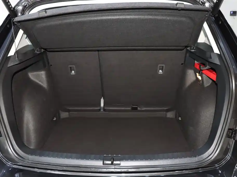 VOLKSWAGEN TUYUE