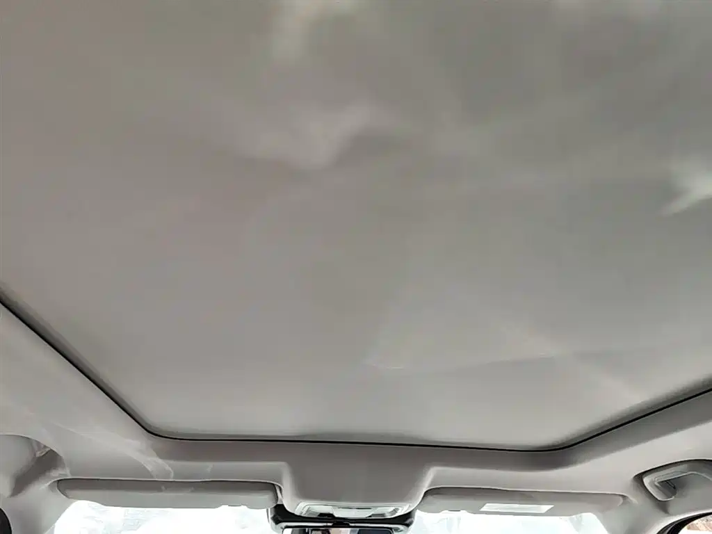 Haval Big Dog 2021 2.0T DCT 2WD Chinese Hound Edition фото 25