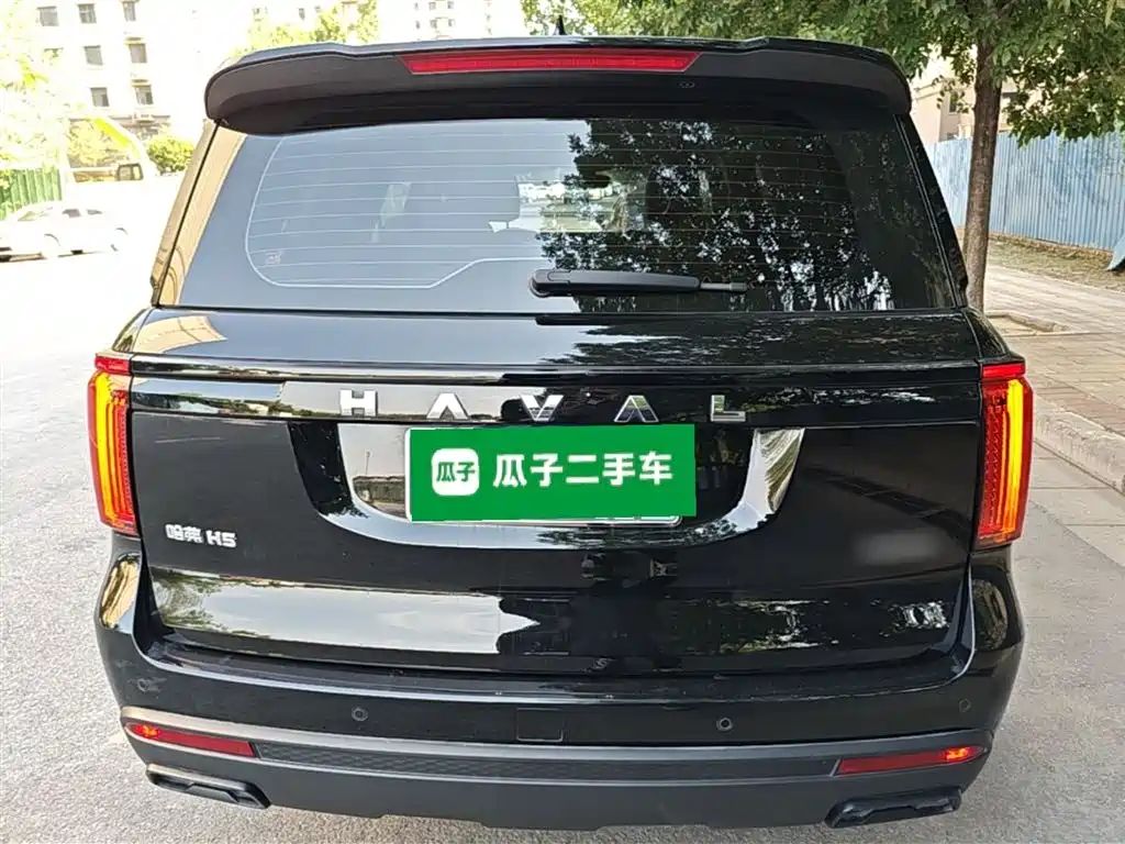 Haval H5 2024 2.0T Auto 4WD Lead Innovation Gasoline фото 6