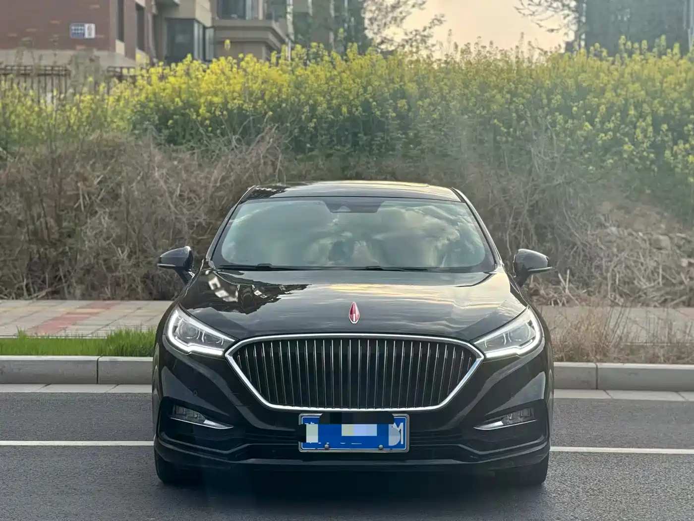 Hongqi H5 2019 30TD Smart Connect Rhythm Edition фото 2