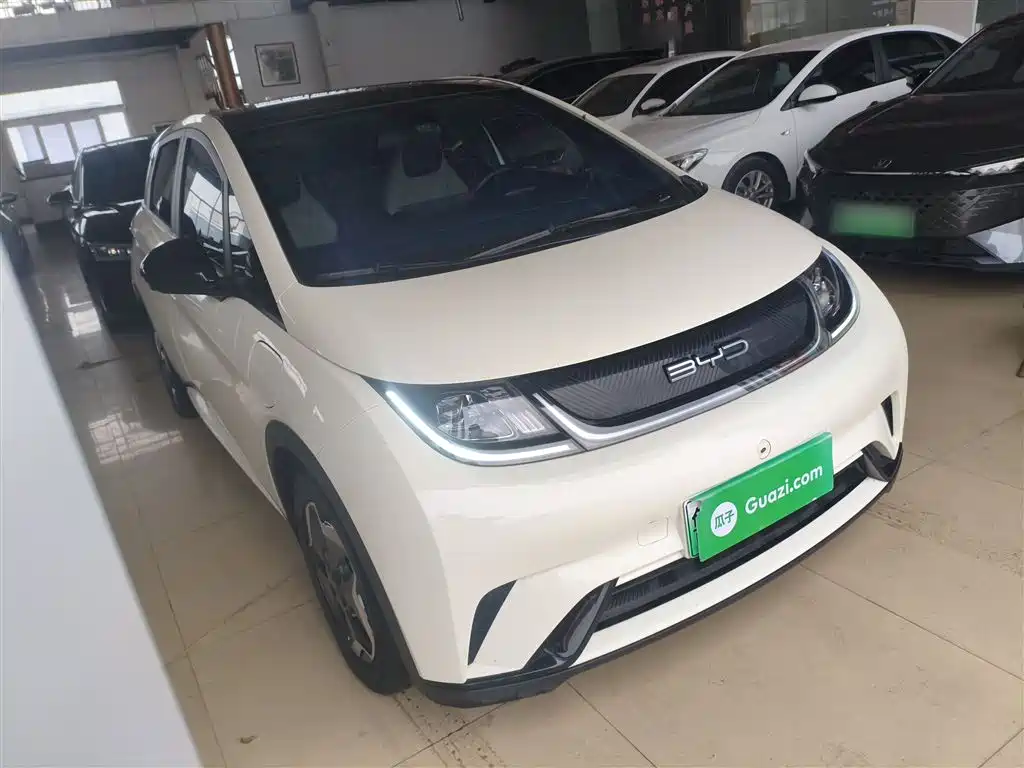 BYD Dolphin 2021 Model 405km Fashion Edition фото 4