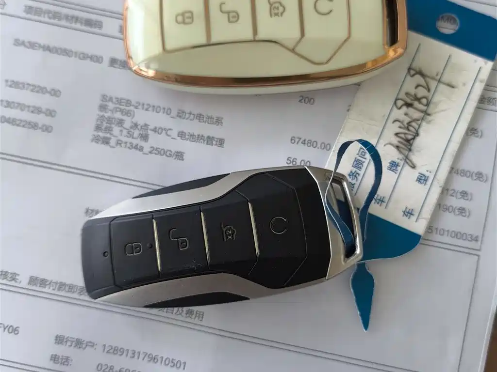 BYD Song PLUS PHEV 2021 EV Premium Model фото 17