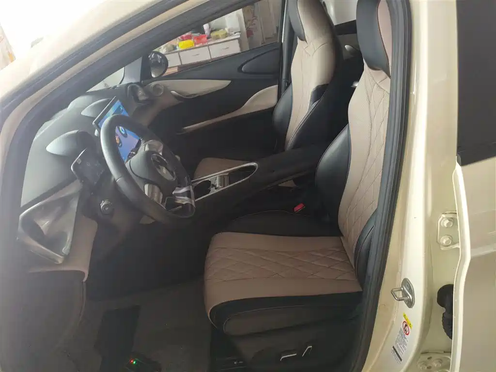 BYD Dolphin 2021 Model 405km Fashion Edition фото 15