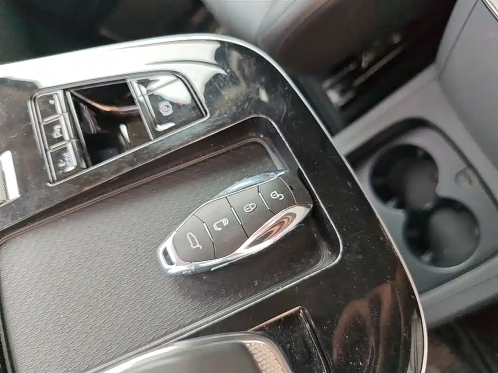 Hongqi HQ9 PHEV 2024 Model 2.0T AWD Business Edition фото 9