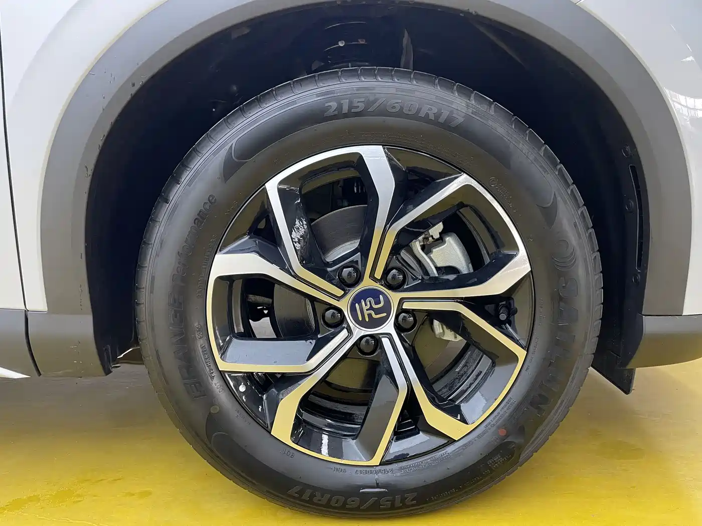 BYD Yuan PLUS 2024 Glory Edition 430KM Advanced фото 9
