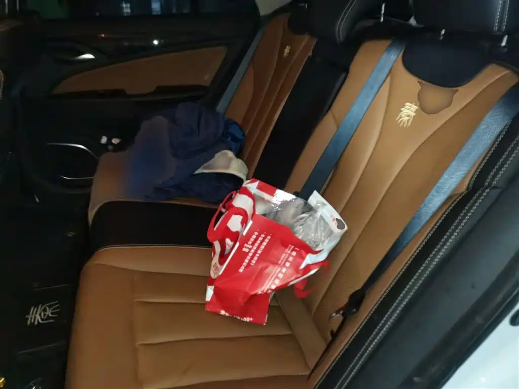 BYD Qin New Energy 2018 Qin EV450 Smart Connected Premium Edition фото 15