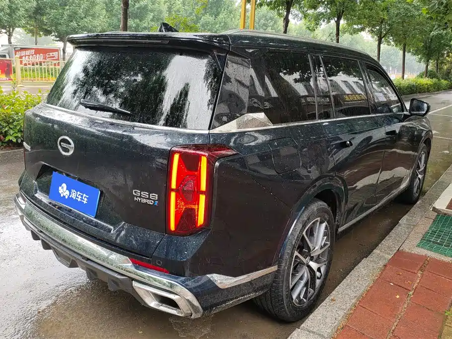 GAC Trumpchi Trumpchi GS8 2022 Dual Engine Series 2.0TM 2WD Premium Edition (6-Seater) фото 3