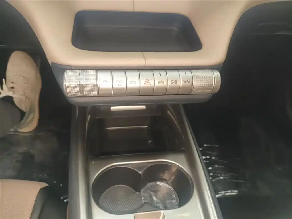 BYD Dolphin 2025 420km Freedom Edition фото 14