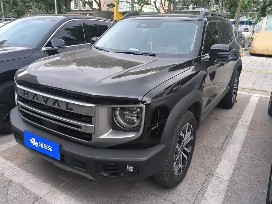 Haval Big Dog 2024 1.5T DCT Border Collie Edition