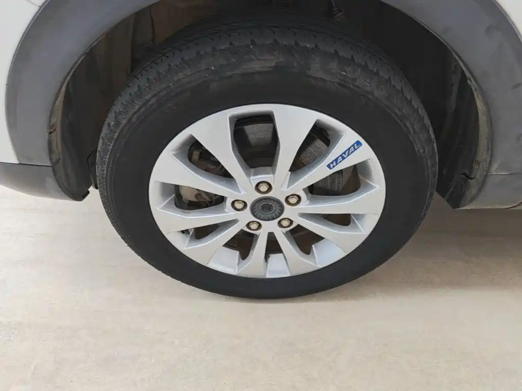 صورة 23 - Haval H2s