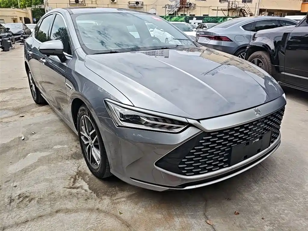 BYD Qin PLUS 2021 DM-i 55KM Flagship фото 4