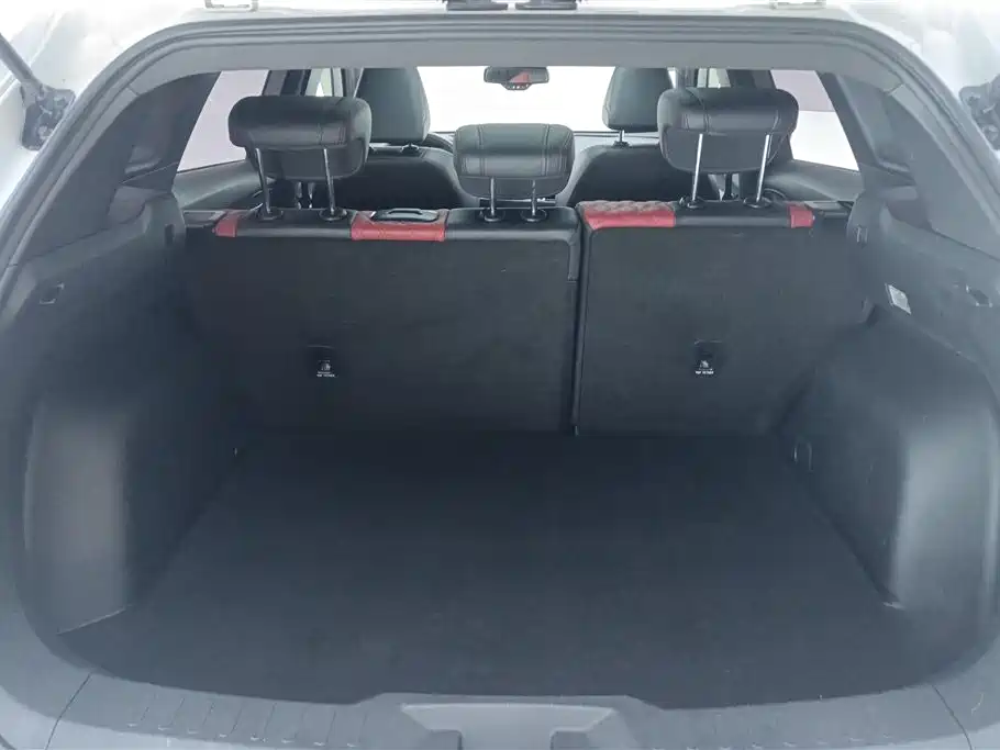 Haval H6 2020 2.0GDIT Automatic GT Champion Edition фото 4