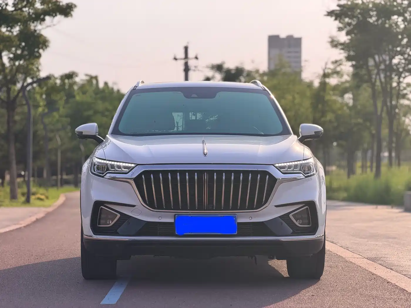 Hongqi HS5 2019 2.0T Intelligent Flagship 4WD Version фото 2