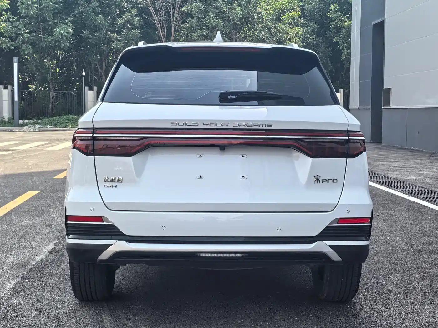 BYD Song Pro New Energy 2022 DM-i 110km Flagship фото 5
