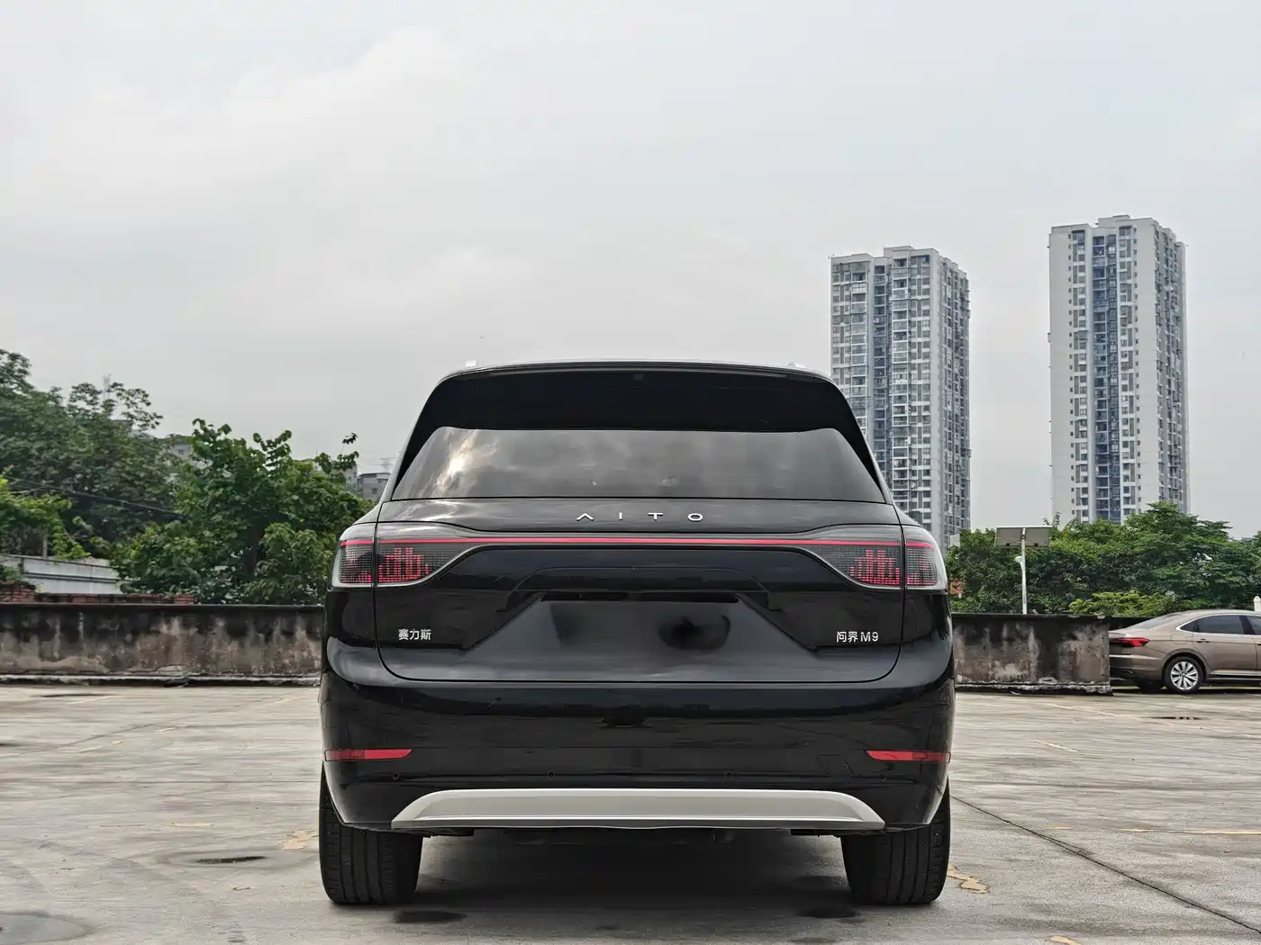 AITO Wenjie AITO M9 2024 Extended Range Ultra 42kWh 6-Seater фото 27