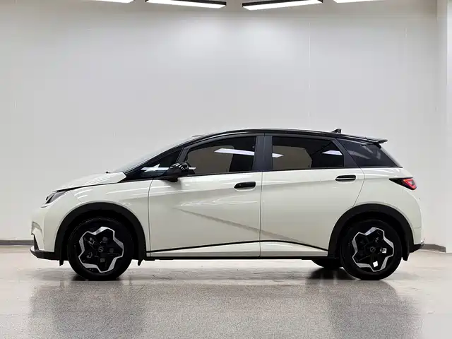 BYD Dolphin 2021 Model 405km Fashion Edition — фото 4