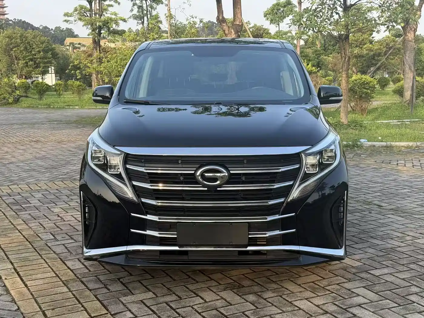 GAC Trumpchi Trumpchi M8 2023 Leading Series 390T Premium Edition фото 2