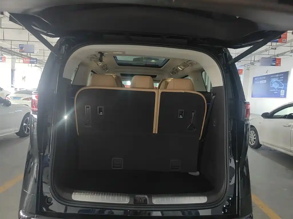 Denza D9 2024 DM-i 980 AWD Prestige фото 19