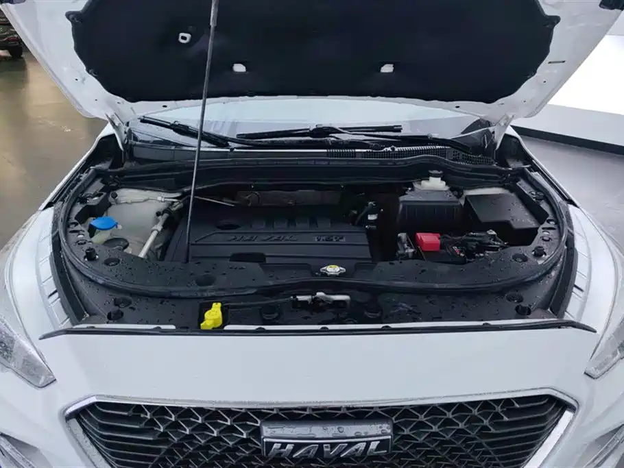 Haval M6 2018 Facelift 1.5T DCT 2WD Elite Edition фото 10