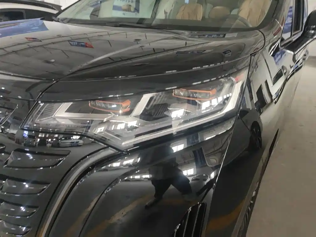 Denza D9 2024 DM-i 980 AWD Prestige фото 24