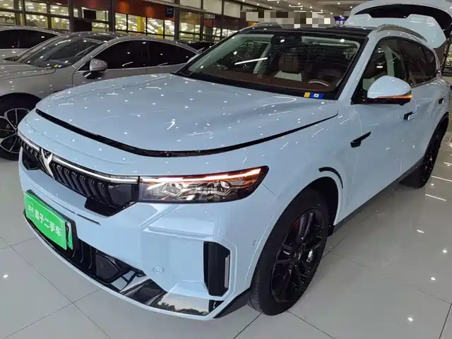 Voyah Auto VOYAH FREE 2024