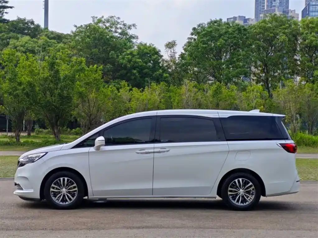 Buick GL8 2022 ES Landmark 653T Premium фото 12