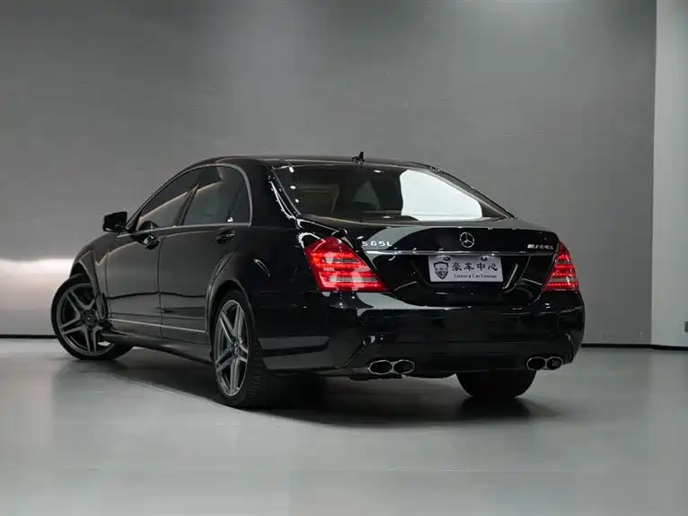 Mercedes-Benz S-Class AMG 2010 AMG S 65 фото 8