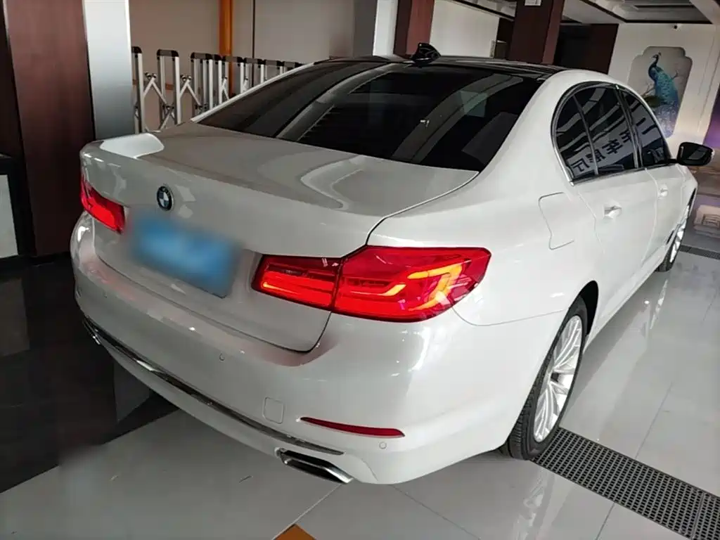 BMW 5 Series 2020 525Li Luxury Package фото 7