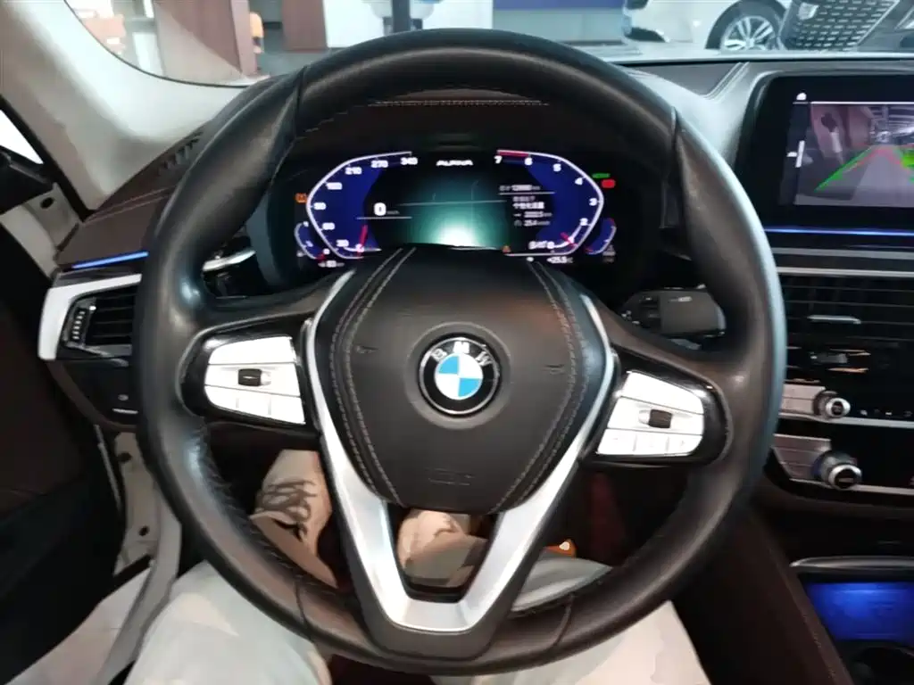 BMW 5 Series 2020 525Li Luxury Package фото 11