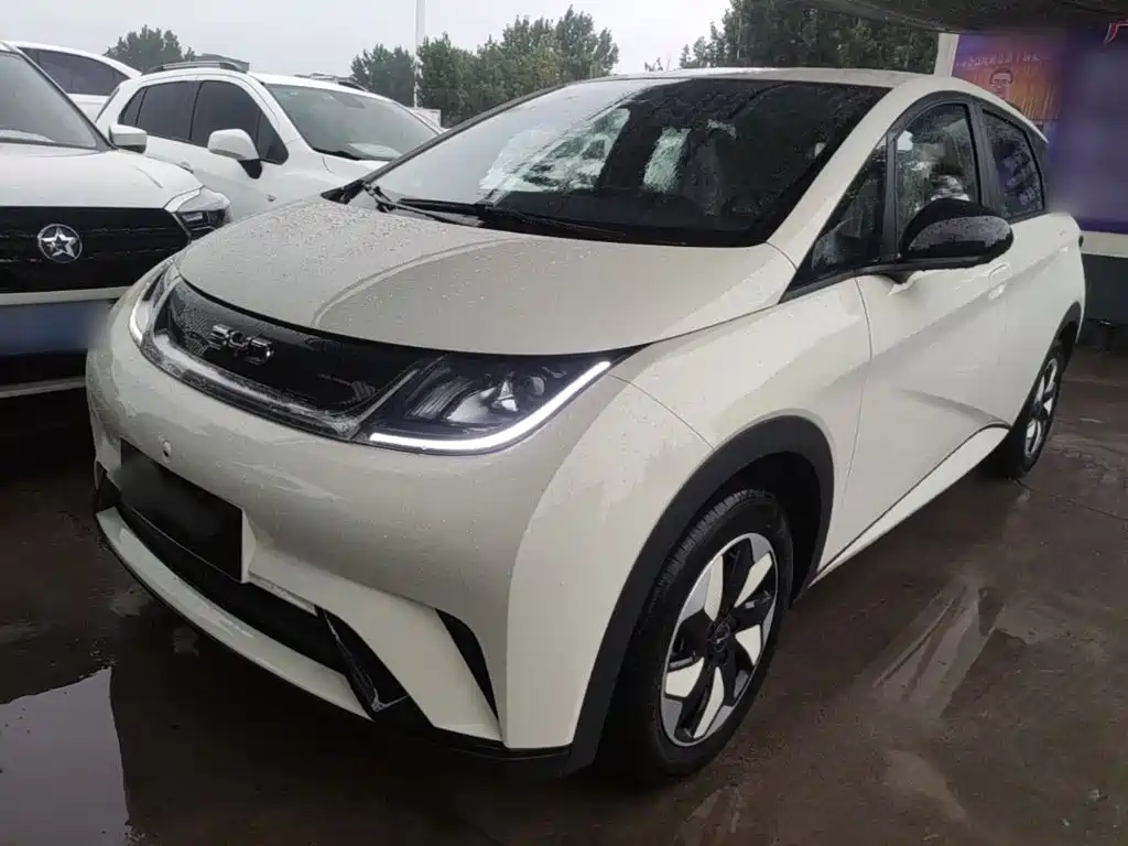 BYD Dolphin 2026 2025 420km Freedom Edition