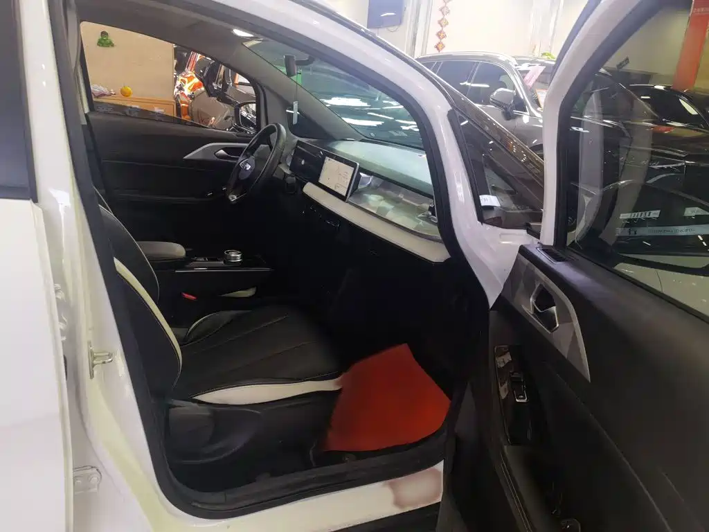 Geely Geometry E Firefly 2023 2022 401KM Delicate Tiger 4-seater