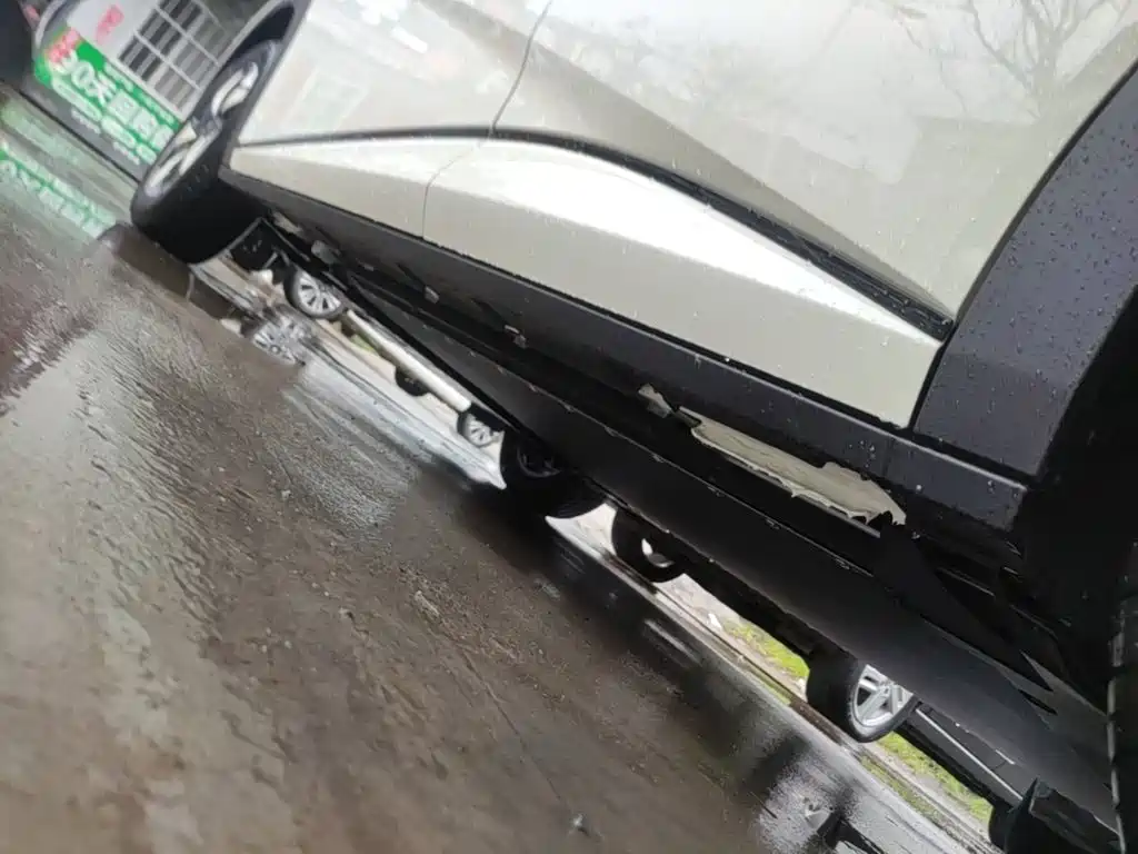 BYD Dolphin 2026 2025 420km Freedom Edition