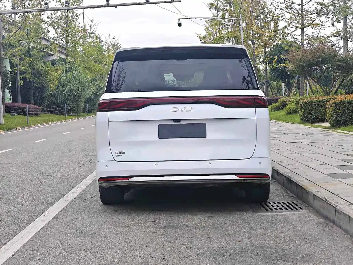 BYD Xia 2024 2025 DM-i 1.5T 180km Surpass Edition