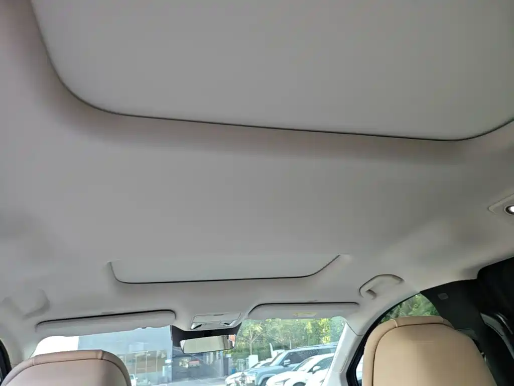 BYD Xia 2025 2025 DM-i 1.5T 180km Surpass Edition