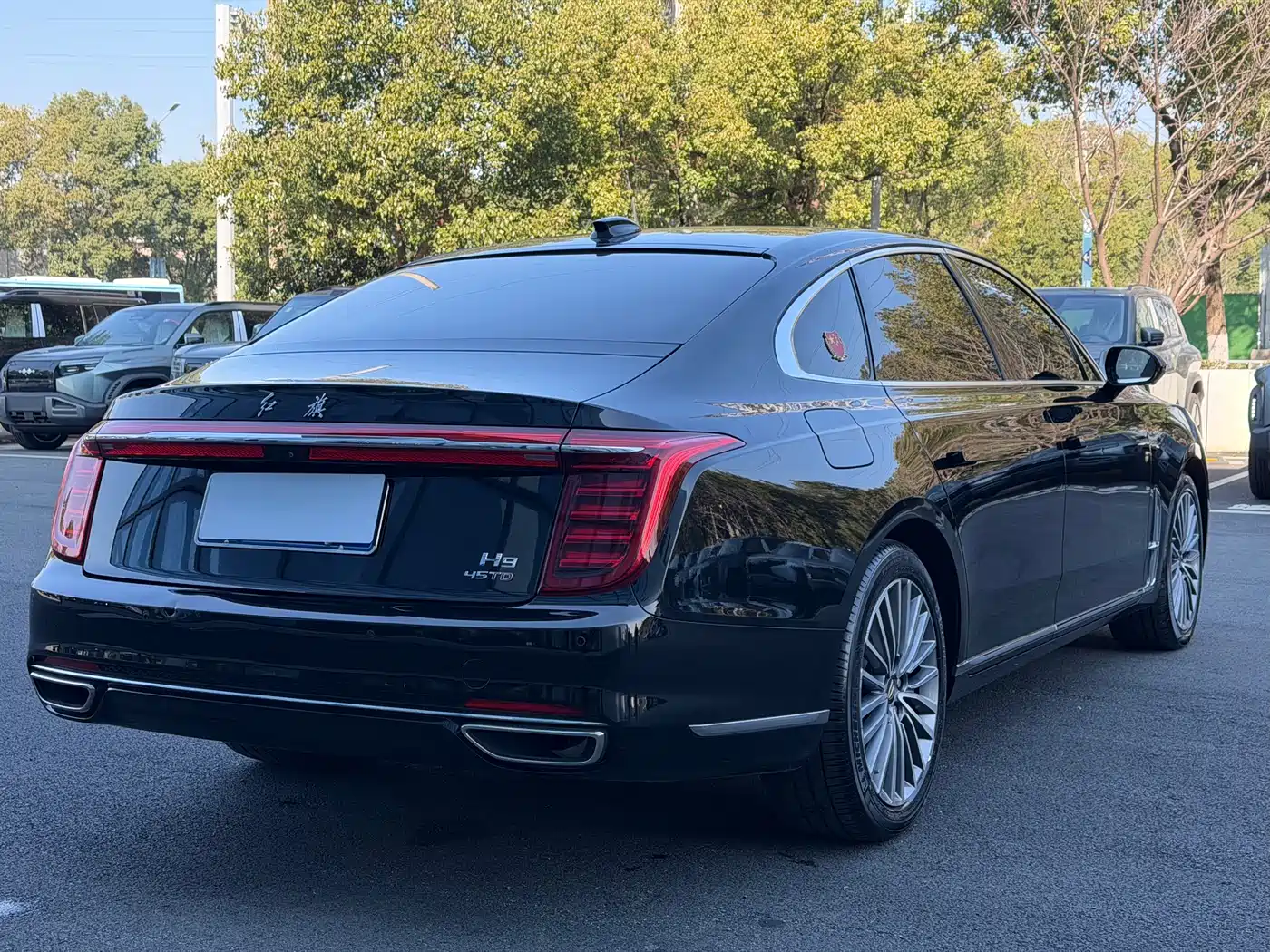 Hongqi H9 2020 2.0T Smart Connection Qi Xiang Edition фото 17